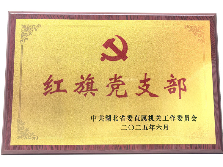 喜报！知音传媒集团教育公司党支部获评省直机关“红旗党支部”